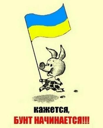 10 политических картинок часть 2