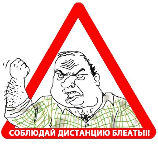 Голубь спровоцировал тройное ДТП в Ростове