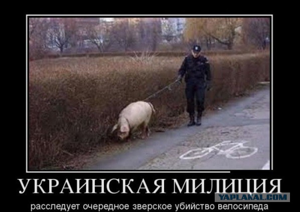 Геополитика в картинках