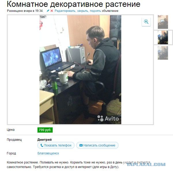 Продам сестру!