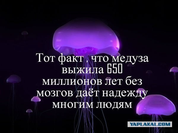 Фильм «Украина: Маски революции» показали в Польше