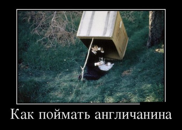Картинки, демотиваторы и прочие приколы с просторов необъятного
