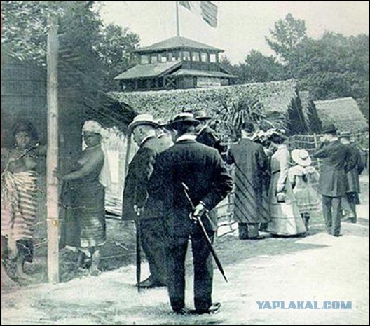 В Лондоне воду для марафонцев разграбили мигранты