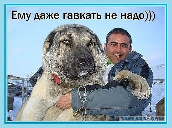 Убивать буду