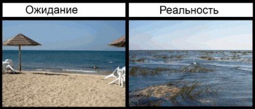 Ожидание vs. реальность: летний отпуск