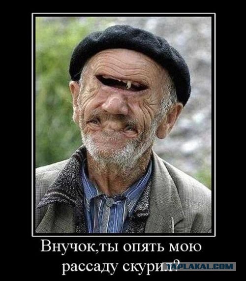 Юмор не для всех