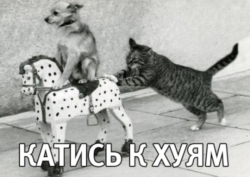 Здесь ответ один! Ехай на х....