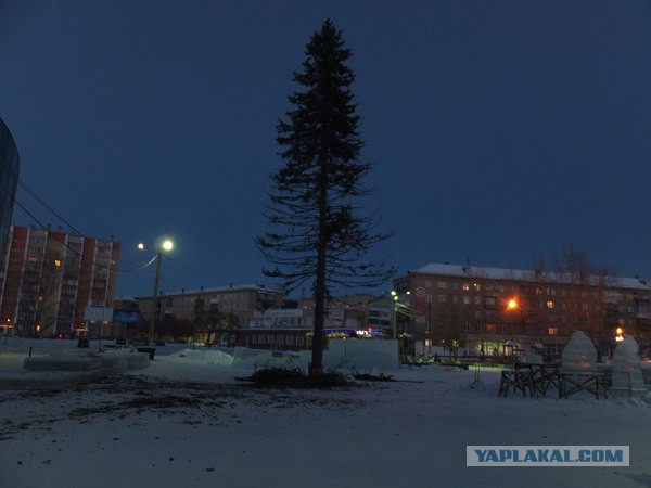 В Копейске установили Ель