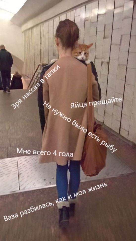 Подборка безудержного веселья