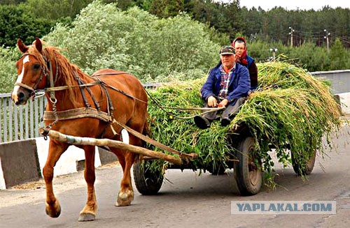 Львовского автобусного завода больше не существует