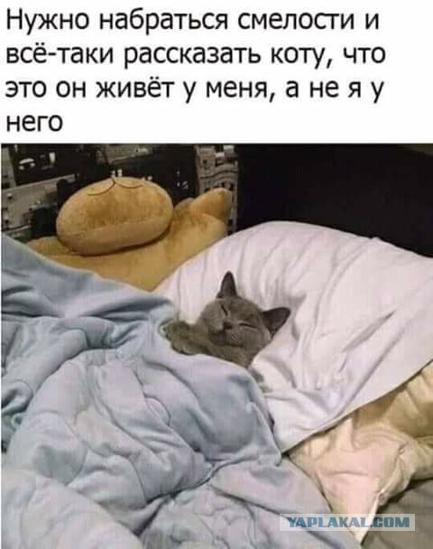 Деградашки на пятницу