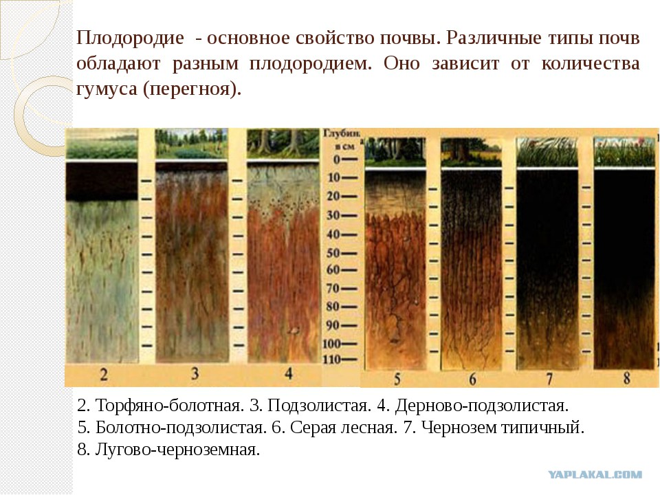 Виды почвы схема