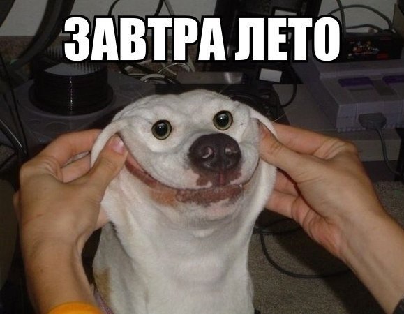 Нестандартный юмор