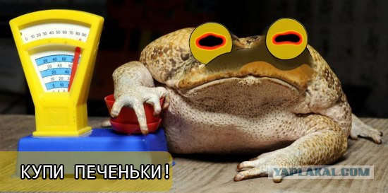 Какие пряники?! Только что кончились!