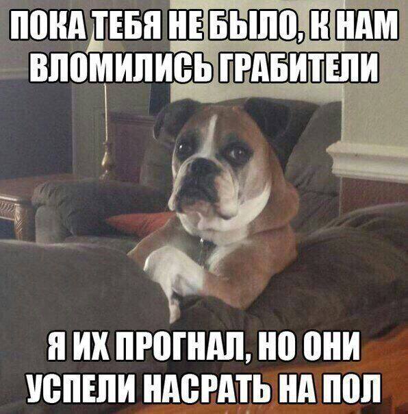 Чернушки вот вам принёс