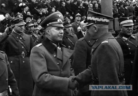 Трамп напомнил Макрону о провале французов во Второй мировой войне
