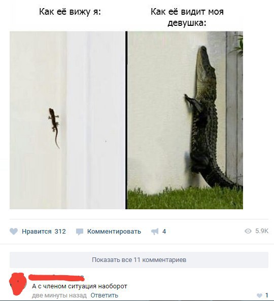 Комментарии из соцсетей