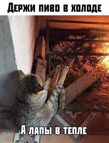 Небольшая субботняя алкоподборка