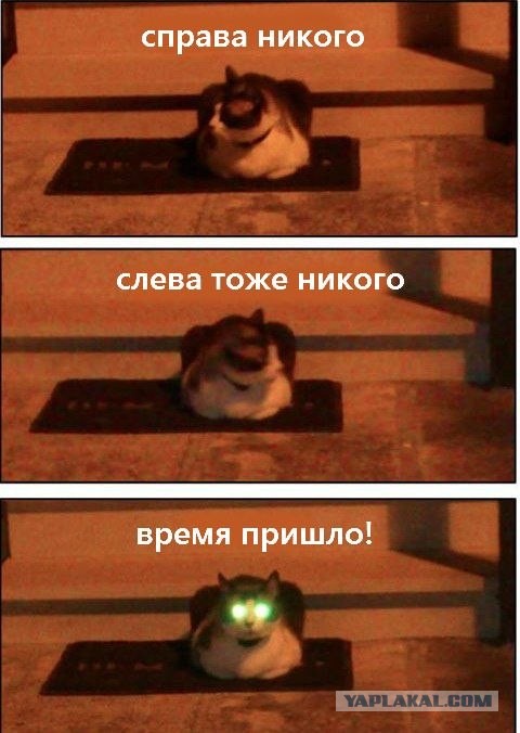 Коты с уранового рудника, надо больше урана!