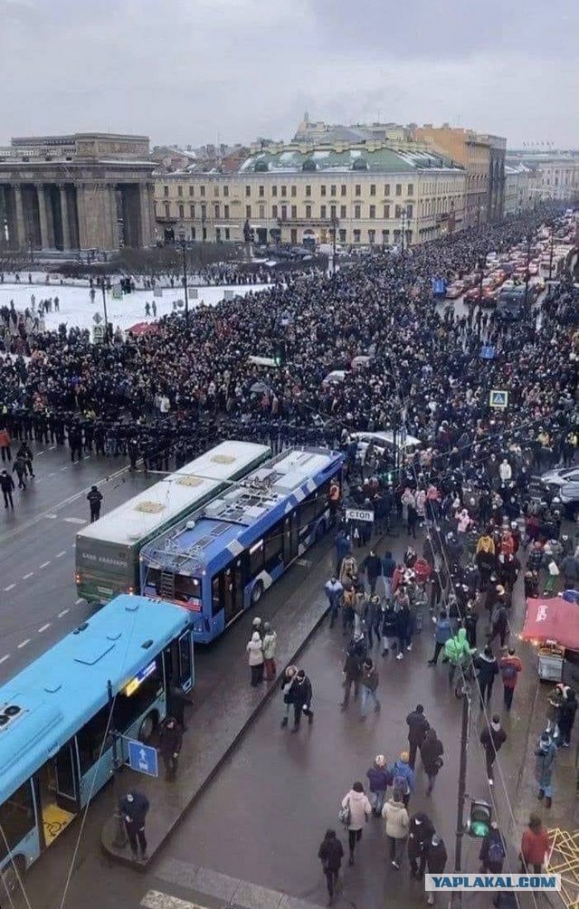 Песков об акциях протеста: «Вышло мало людей, много людей голосует за Путина»