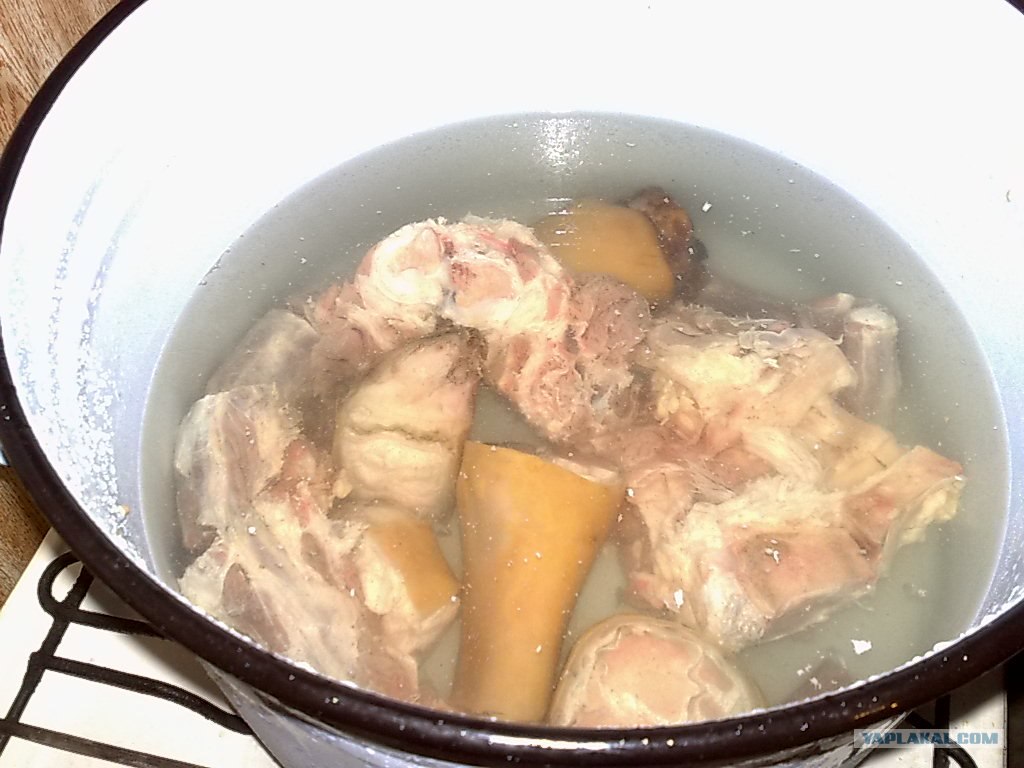 хашпетраде. хаш. янки хаш. армянский суп хаш. холодец из свиных ножек.