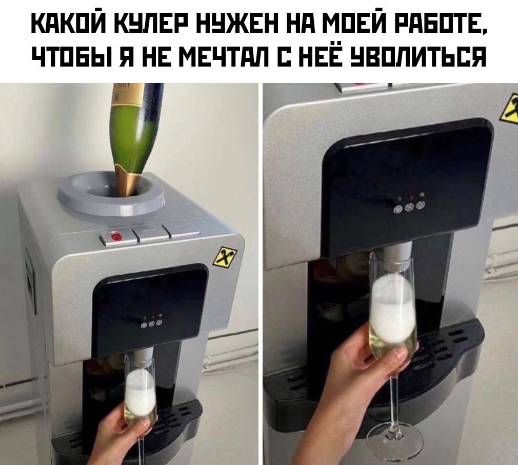 15819339.jpg