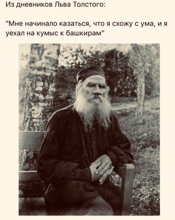 Забавные шутки, фразы, картинки из этих ваших интернетов
