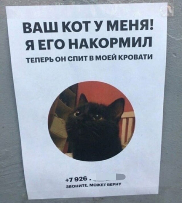 Так себе картинки 06.04.22