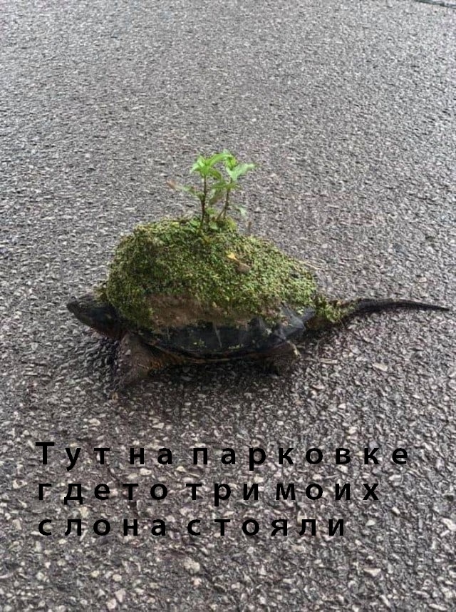 Юмор в картинках и без 07.10.2022