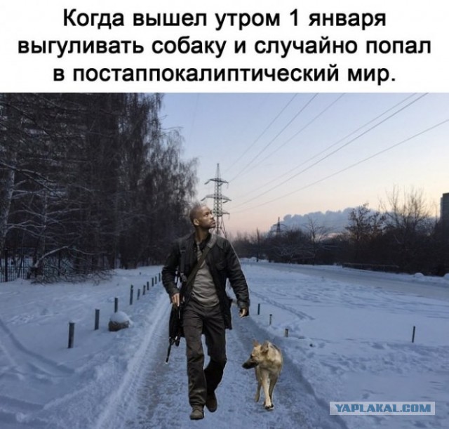 Картинки и мемы, выходные продолжаются