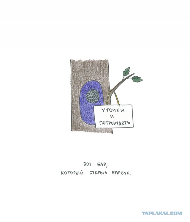 Бар который открыл барсук