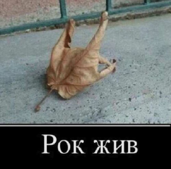 Картинки и мемы, всяко разно - 181