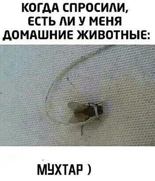 Забавные картинки, шутки из этих ваших интернетов