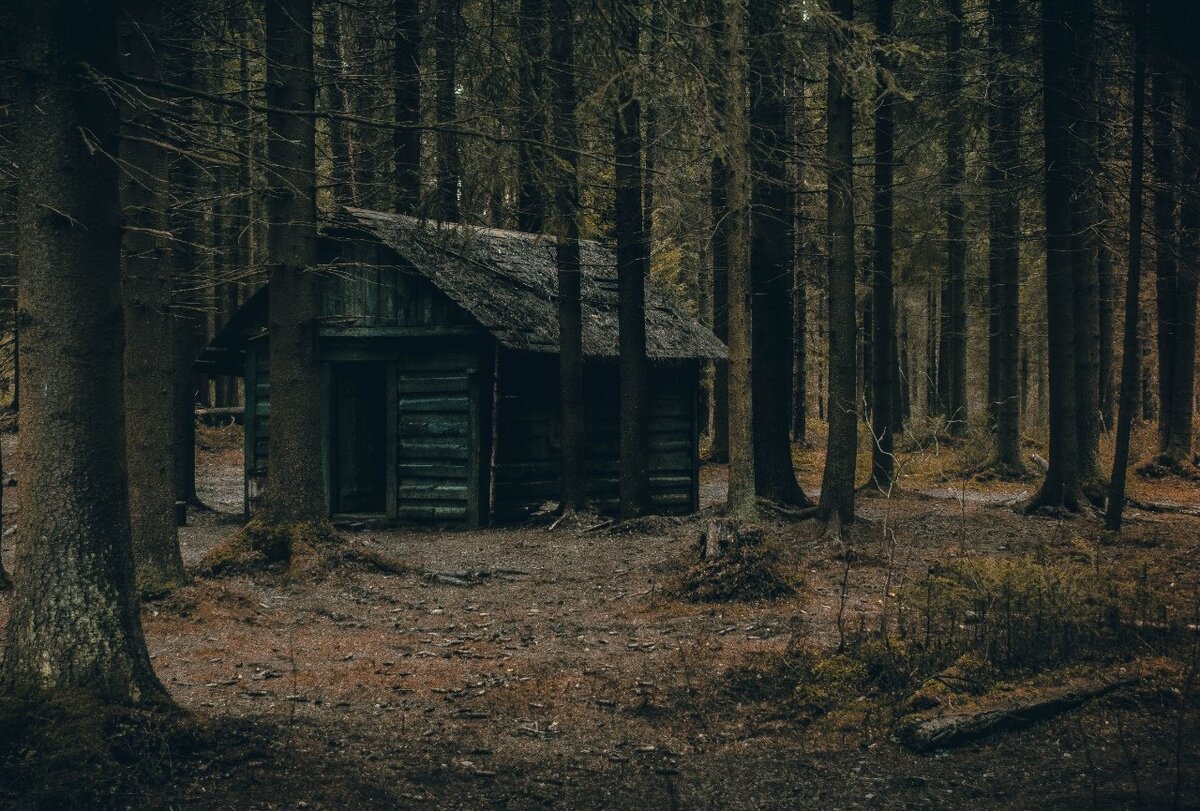 Тайга: Три страшные истории