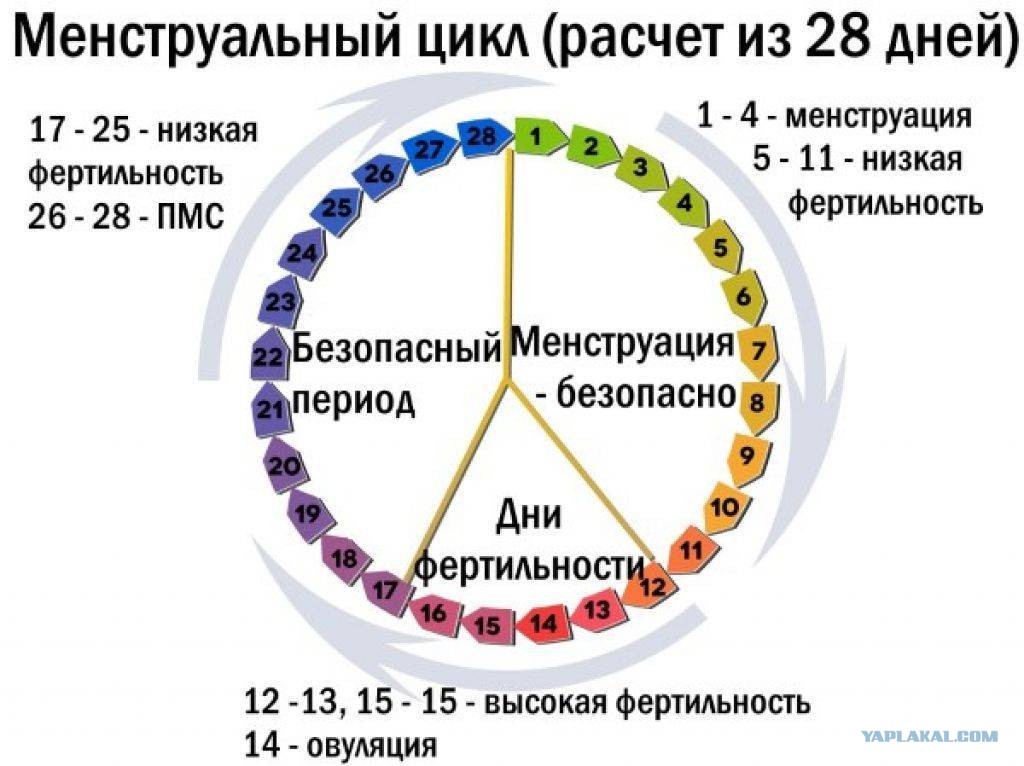 Безопасный Секс После Менструации Безопасный Секс После Менструации