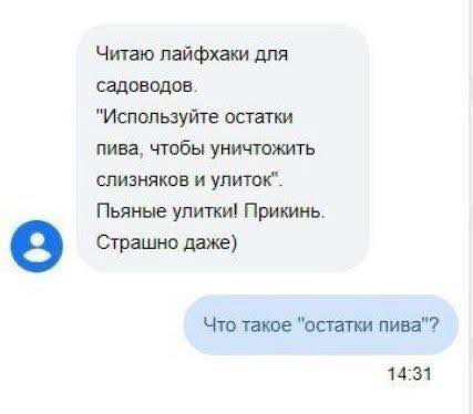 20088339.jpg