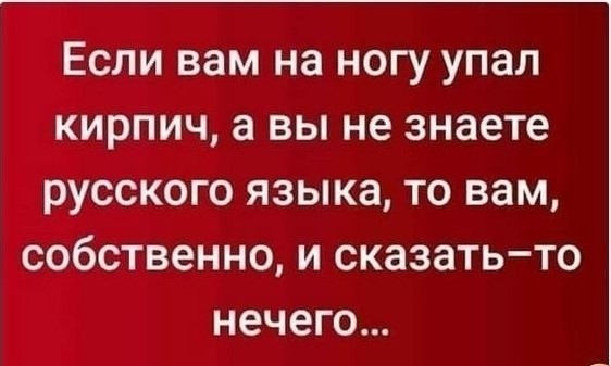 20579339.jpg