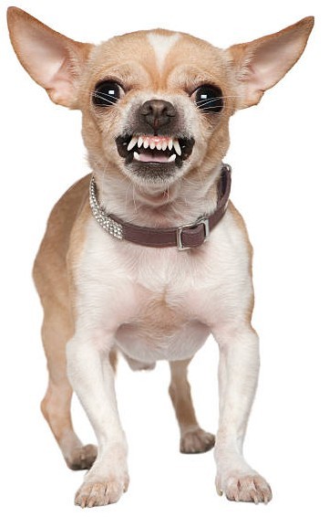 Хотел литовец выпендриться, но не удалось, не получилось, не вышло, не прокатило, не фартануло, не срослось, не увязалось