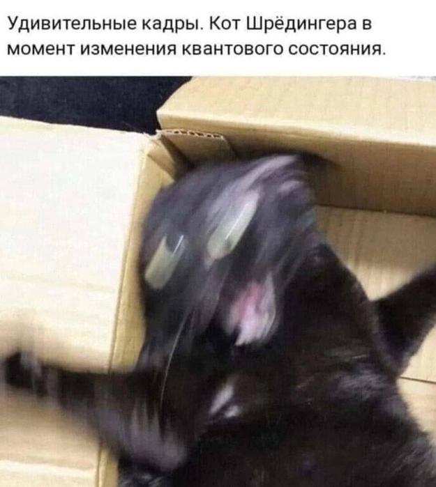 Картинки для деградации 147 (разной степени свежести)