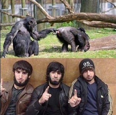 Неимущих кавказцев будут расселять по всей России.