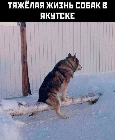 Картинки для деградации 214 (разной степени свежести)