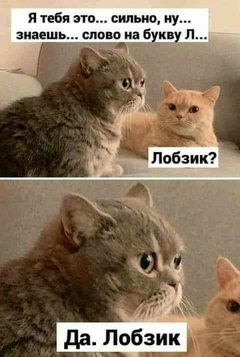 Картинки для деградации 252 (разной степени свежести)