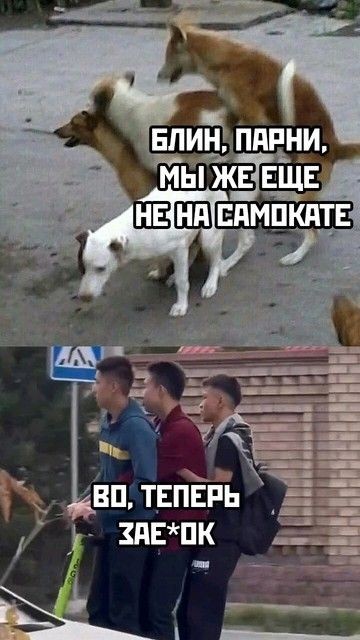 Капля юмора дальше...
