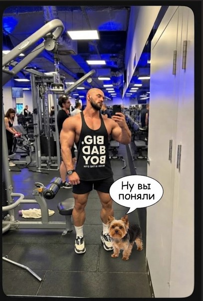 «Гибдаёб?»