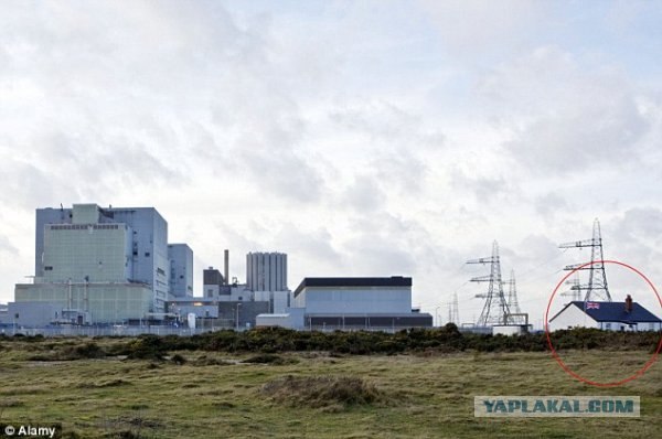 Домик в "заповеднике" (9 фото)