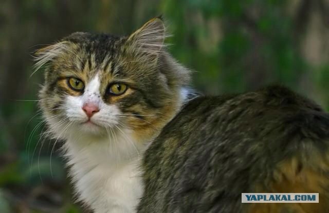 Дерзкие и брутальные