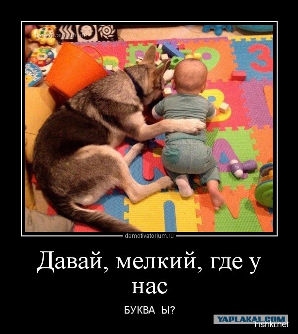Что почитать ребенку 9 лет, чтоб зацепило?