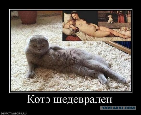 Коты и искусство