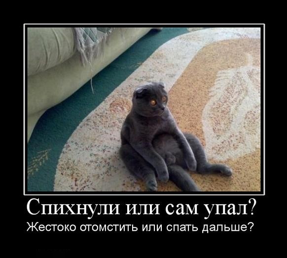 Вы хотите "демов"? часть 2-я