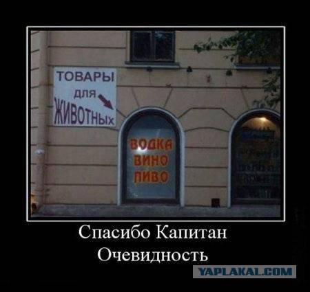 Картинок пост